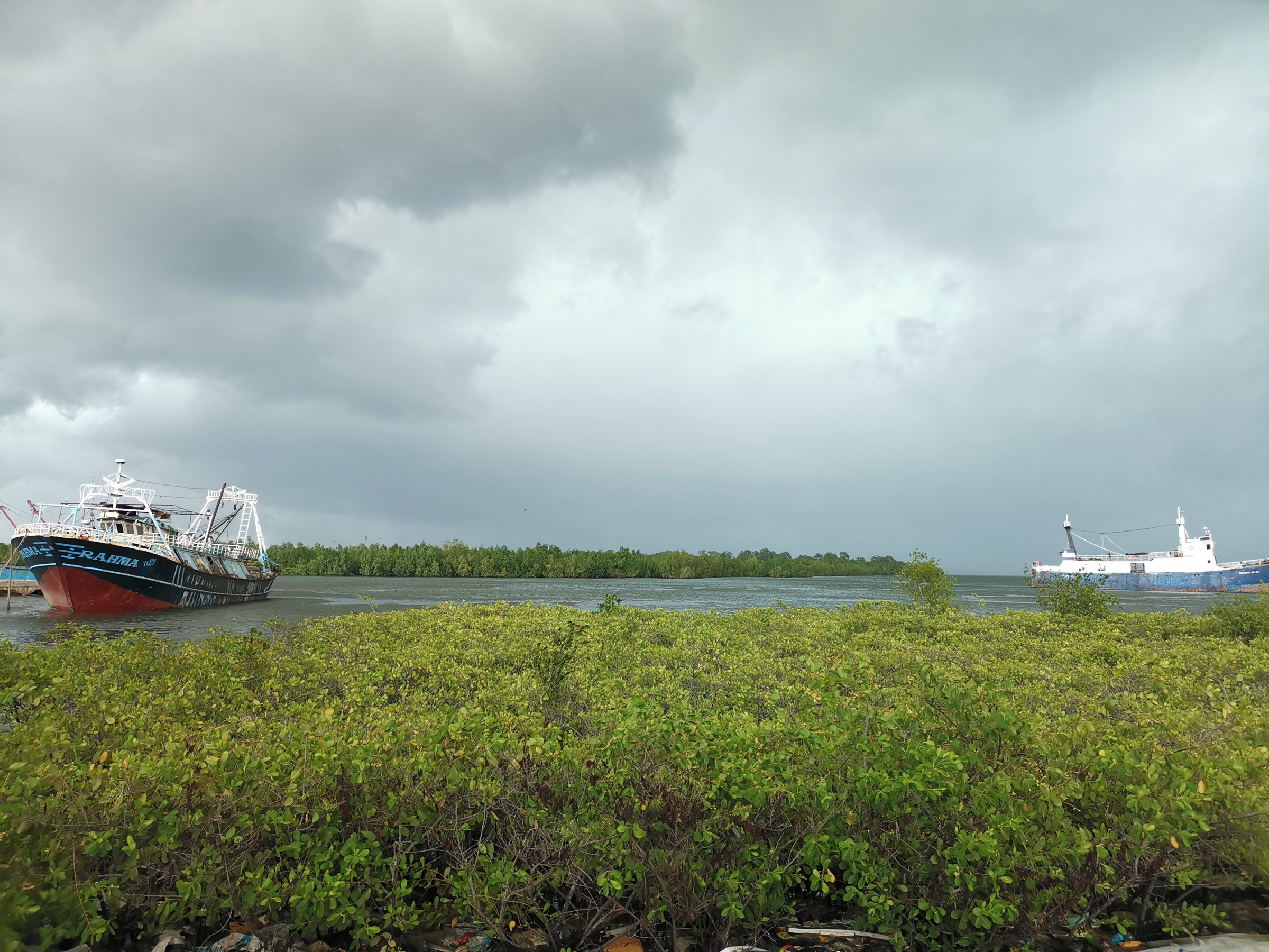 Fishing vessels beside Sierra Leone coastal mangroves